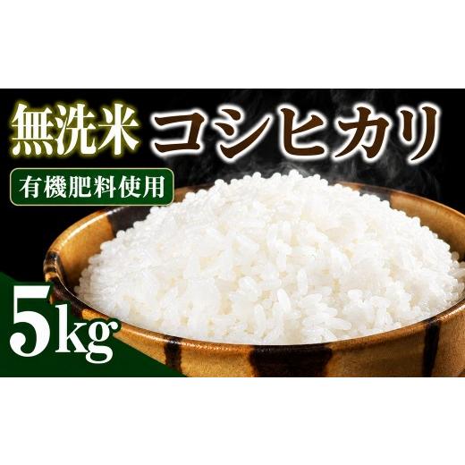ふるさと納税 無洗米 新潟県 見附市 令和8年産 新潟県見附市産 コシヒカリ 無洗米 5kg 無洗米 5kg
