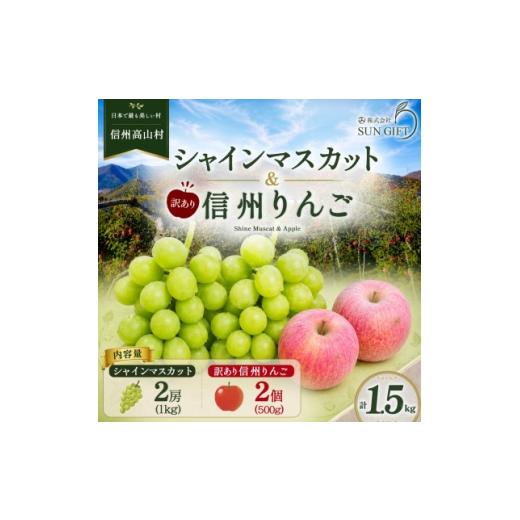 ふるさと納税 りんご 長野県 高山村 秋の味覚 シャインマスカット1kg+ 訳あり 信州りんご 500g フルーツセット 2026年発送 1767511