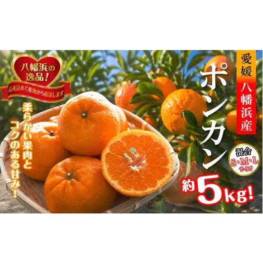 ふるさと納税 みかん・柑橘類 愛媛県 八幡浜市 先行受付 2027年1月出荷開始 爽やかな香り。酸味が少なく甘みの強い「ポンカン」約5kg C39-38 みかん ミカン …
