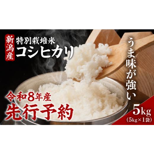 ふるさと納税 米 コシヒカリ 新潟県 新発田市 令和8年産 コシヒカリ 5kg 特別栽培米 コシヒカリ 新米 精米 白米 米 お米 こめ ご飯 おにぎり 弁当 新潟県産コ…