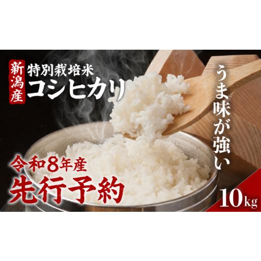 ふるさと納税 米 コシヒカリ 新潟県 新発田市 令和8年産 コシヒカリ 10kg 特別栽培米 コシヒカリ 新米 精米 白米 米 お米 こめ ご飯 おにぎり 弁当 新潟県産…
