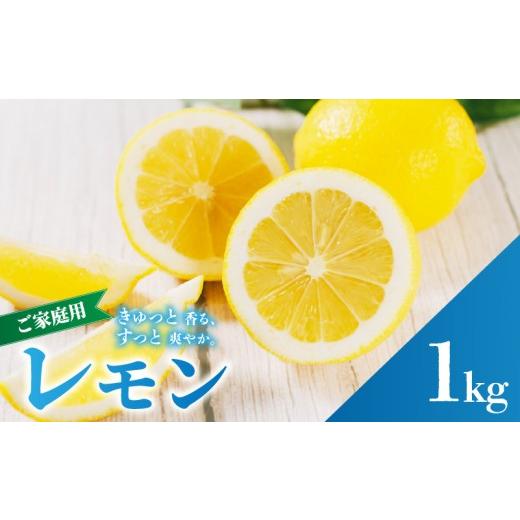 ふるさと納税 みかん・柑橘類 レモン 愛媛県 松山市 イエロー レモン 家庭用 お試し 1kg 2027年2月上旬から発送 防腐剤 ワックス 不使用| 訳あり レモン 檸檬…