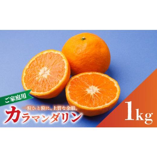 ふるさと納税 果物類 みかん 愛媛県 松山市 2027年4月中旬から順次発送 南津海・カラマンダリン お試し 1kg サイズ混合 家庭用 B品 | 柑橘 松山市産ミカン み…