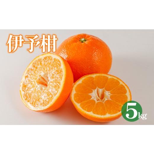 ふるさと納税 みかん・柑橘類 愛媛県 松山市 伊予柑 約5kg 2027年1月下旬から順次発送 | 愛媛 みかん 柑橘 ミカン かんきつ 蜜柑 フルーツ くだもの 果実 オレ…