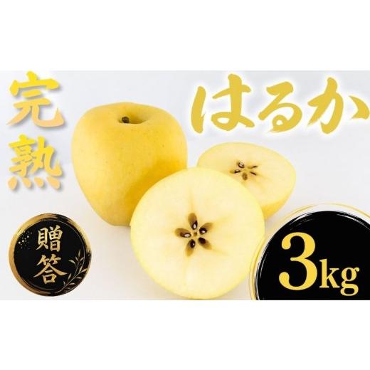 ふるさと納税 りんご 岩手県 盛岡市 12月上旬~発送 贈答用 りんご はるか 3kg 先行予約 りんご リンゴ ringo りんご 林檎 産地直送 新鮮 アップル くだもの …
