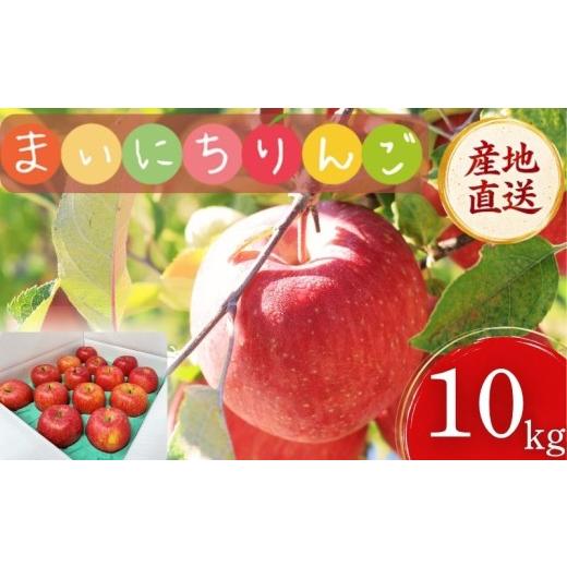 ふるさと納税 りんご 岩手県 盛岡市 11月30日~発送 訳あり りんご サンふじ 10kg 先行予約 りんご 果物 くだもの フルーツ 林檎 リンゴ サンふじ サンフジ 産…