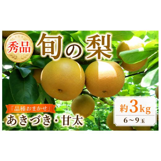 ふるさと納税 梨 千葉県 旭市 梨 あきづき 甘太 約 3kg 贈答品 (6玉 - 9玉) 旬 産地直送 千葉県 なし ナシ 品種おまかせ 贈答梨 秀品 期間限定 贈答用 贈り物 …