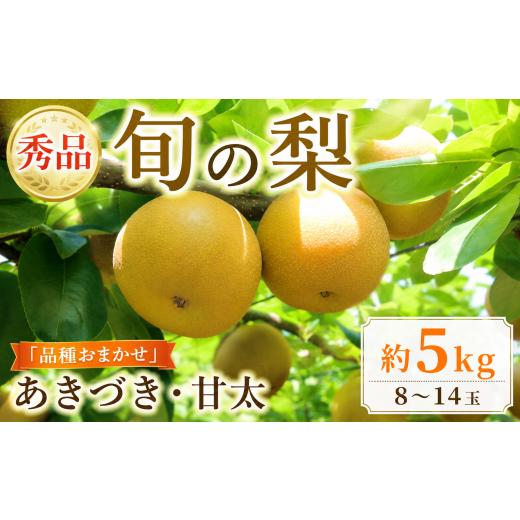 ふるさと納税 梨 千葉県 旭市 梨 あきづき 甘太 約 5kg 贈答品 (8玉 - 14玉) 旬 産地直送 千葉県 なし ナシ 品種おまかせ 贈答梨 秀品 期間限定 贈答用 贈り物…