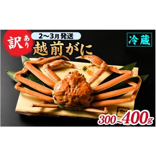 ふるさと納税 カニ ずわいガニ 福井県 福井市 先行予約 訳あり 朝茹で越前がに 300g〜400g(足折れ)2月〜3月発送「2月上旬より順次発送」 B-065039 / 福井…