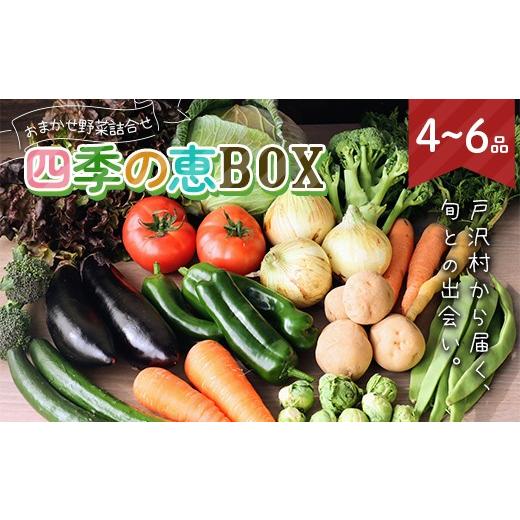 ふるさと納税 セット・詰合せ 山形県 戸沢村 山形県 戸沢村産 野菜詰合せ 農家のおまかせ 四季の恵BOX 4~6品 旬の野菜を1回お届け 国産 野菜 やさい 詰め合わ…