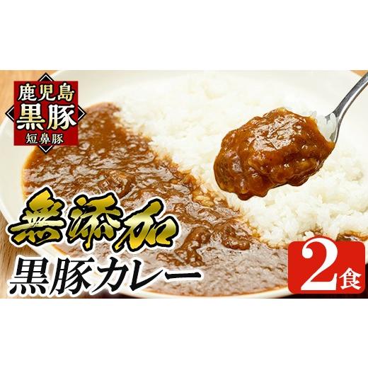 ふるさと納税 豚肉 カレー・シチュー 鹿児島県 姶良市 a106-A 鹿児島黒豚「短鼻豚」無添加カレー 1食 200g (計2食) 鹿児島ますや 姶良市 国産 鹿児島県 肉 豚 …