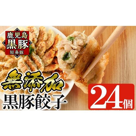 ふるさと納税 餃子 鹿児島県 姶良市 a1112 鹿児島黒豚「短鼻豚」無添加餃子 計24個(12個入×2パック) 鹿児島ますや 姶良市 国産 豚肉 野菜 ぎょうざ ギョーザ …
