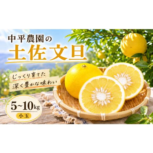 ふるさと納税 みかん・柑橘類 高知県 宿毛市 中平農園の土佐文旦 5kg 家庭用 家庭用 約5kg (7,000円)