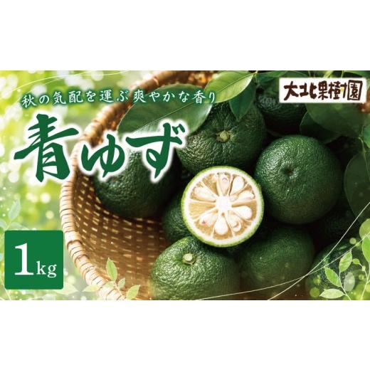 ふるさと納税 みかん・柑橘類 ゆず 高知県 安芸市 ゆず 柚子 青柚子 1kg ゆず玉 青ゆず ユズ 産地直送 みかん 夏 フルーツ 果物 薬味 柚子胡椒 果皮 果汁 ゆず…