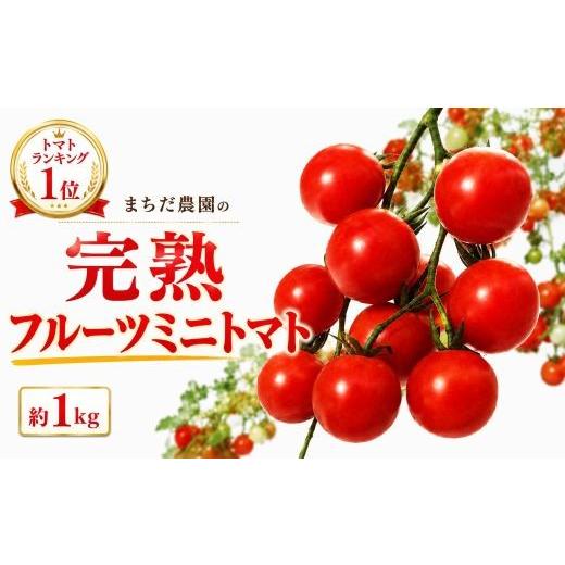 ふるさと納税 トマト ミニトマト 高知県 中土佐町 2026年11月中旬〜発送 トマト フルーツミニトマト 1kg 四万十川 完熟 新鮮 みにとまと とまと プチトマト …