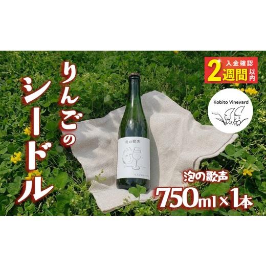 ふるさと納税 お酒 岩手県 大船渡市 14日以内発送 りんごのシードル 「泡の歌声」 750ml×1本 りんご リンゴ 林檎 酒 果実酒 アルコール お酒 果物 くだもの …