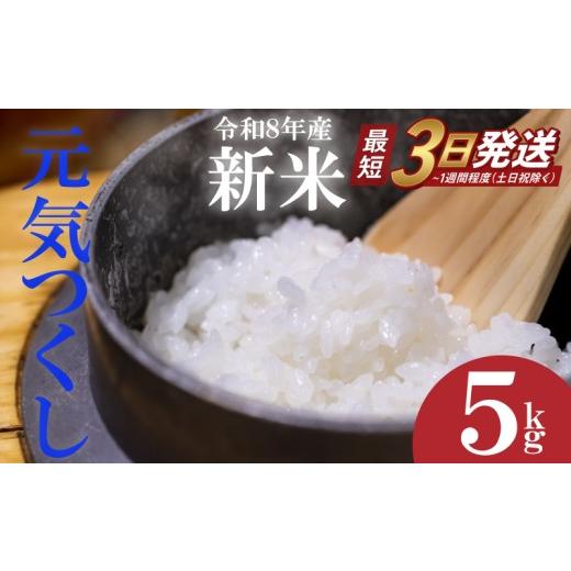 ふるさと納税 米 福岡県 川崎町 最短3営業日以内発送 新米 令和8年産 先行予約 2026年10月以降 お米 元気つくし 5kg ふるさと納税限定 ふるさと納税限定品 定…