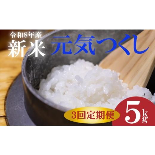 ふるさと納税 米 福岡県 川崎町 新米 令和8年産 先行予約 2026年10月以降 お米 元気つくし 5kg 3回定期便 ふるさと納税限定 ふるさと納税限定品 定期便 kome …