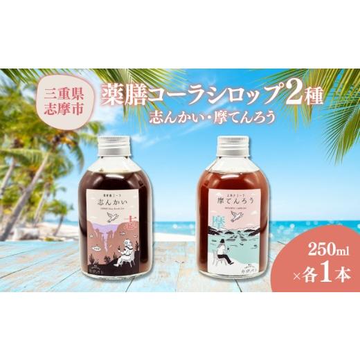 ふるさと納税 炭酸飲料 三重県 志摩市 飲み比べ2種セット 薬膳 クラフトコーラ 飲み比べ 2種 セット (志んかい 摩てんろう) 250ml×各1本 コーラ シロップ 詰…