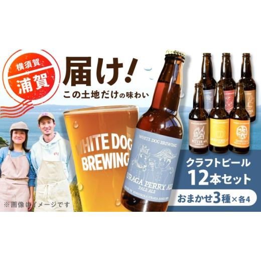 ふるさと納税 ビール 地ビール 神奈川県 横須賀市 WHITE DOG BREWING 浦賀を楽しむパーティ12本セット 3種×各4本 浦賀ビール合同会社