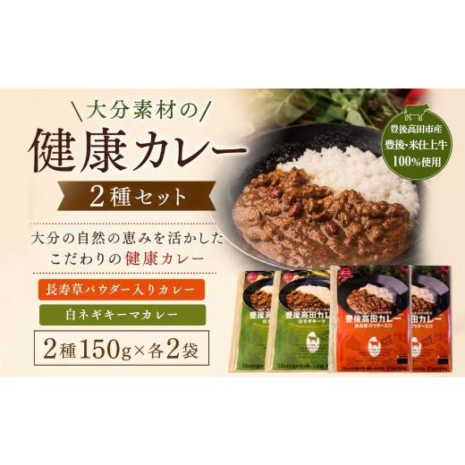 ふるさと納税 加工品等 レトルト 大分県 豊後高田市 レトルトカレー 大分素材の健康レトルトカレー2種セット | レトルトカレーセット 詰め合わせ アソート ビ…