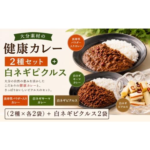 ふるさと納税 加工品等 レトルト 大分県 豊後高田市 レトルトカレー 大分素材の健康レトルトカレーと白ネギピクルスセット | レトルトカレー レトルトカレーセ…