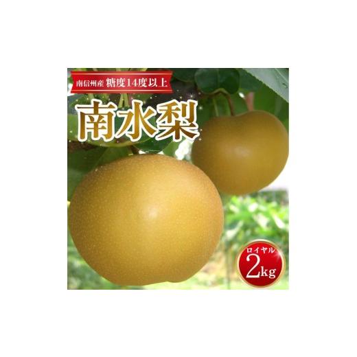 ふるさと納税 梨 長野県 高森町 南信州産 南水梨約2kg 5~6玉入り 糖度14度以上 9月中旬より発送