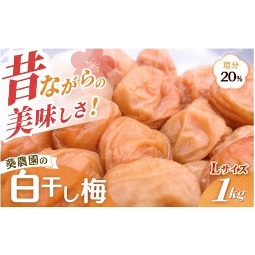 ふるさと納税 加工品等 梅干 和歌山県 田辺市 紀州南高梅 白干し南高梅干し 1kg Lサイズ 塩分20% 添加物不使用 / 梅 うめ ウメ 梅干し 梅干 白干し 南高梅 …