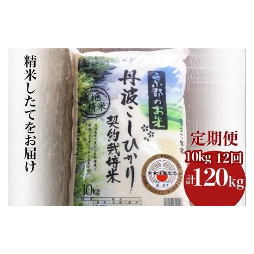 ふるさと納税 米 コシヒカリ 京都府 亀岡市 10月発送 9月より新米 毎月1回お届け 定期便 京都丹波米 こしひかり10kg×12回 計120kg 米 12ヶ月 白米 12回定期…