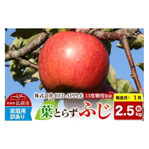 ふるさと納税 りんご 青森県 弘前市 27年1月発送 りんご 13度糖度保証 訳あり 家庭用 葉とらずふじ 約5kg 先行受付 アップル おいしい ふじ りんご 果実 果物…
