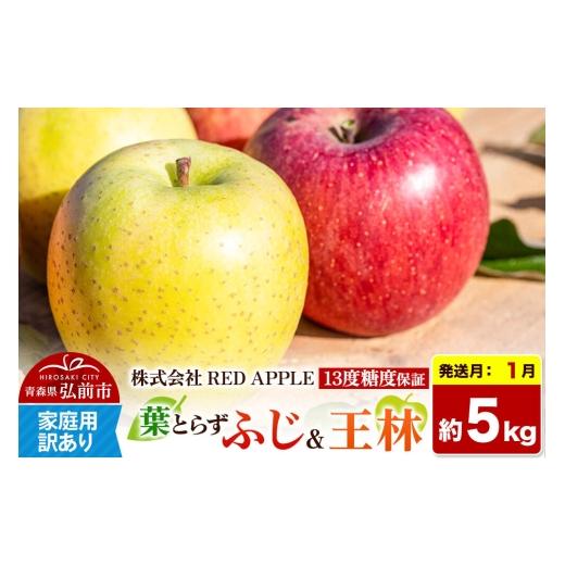 ふるさと納税 りんご 青森県 弘前市 27年1月発送 りんご 13度糖度保証 訳あり 家庭用 葉とらずふじ&王林 約5kg 先行受付 アップル おいしい ふじ りんご 王…