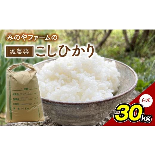ふるさと納税 米 コシヒカリ 千葉県 御宿町 みのやファームの減農薬こしひかり 30kg(白米) コシヒカリ こしひかり おいしいお米 自然栽培 贈り物 ギフト 千葉…