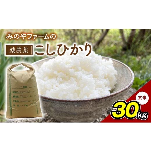 ふるさと納税 米 コシヒカリ 千葉県 御宿町 みのやファームの減農薬こしひかり 30kg(玄米) コシヒカリ こしひかり おいしいお米 自然栽培 贈り物 ギフト 千葉…