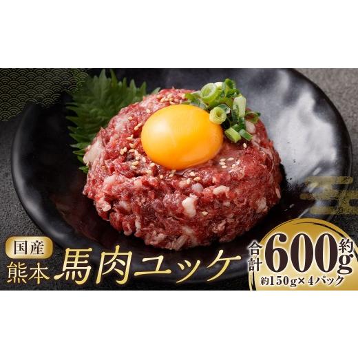 ふるさと納税 馬肉 熊本県 相良村 国産熊本馬肉ユッケ 約600g 馬肉 馬 お肉 肉 ニク にく ユッケ パック 熊本県産 冷凍