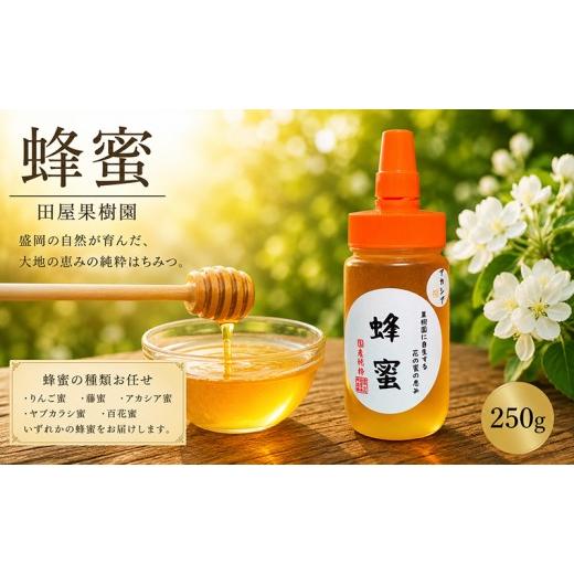 ふるさと納税 加工品等 はちみつ 岩手県 盛岡市 蜂蜜 250g 種類お任せ はちみつ りんご蜜 藤蜜 アカシア蜜 ヤブカラシ蜜 百花蜜 国産 加工品 ボトル 特産品 名…