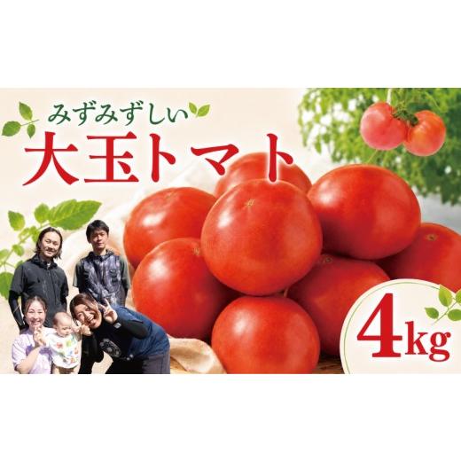 ふるさと納税 セット・詰合せ 神奈川県 藤沢市 トマト 4kg 大玉トマト とまと tomato 春発送 数量限定 野菜 やさい 果物 甘い リコピン フルーツ サラダ スー…