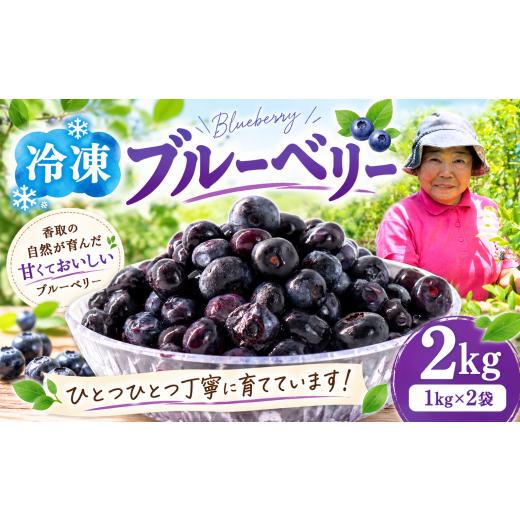 ふるさと納税 ジャム ブルーベリー 千葉県 香取市 冷凍ブルーベリー 約2kg ( 1kg × 2袋 ) ジャム ぶるーべりー 冷凍 ブルーベリー 冷凍フルーツ 国産 産地直…