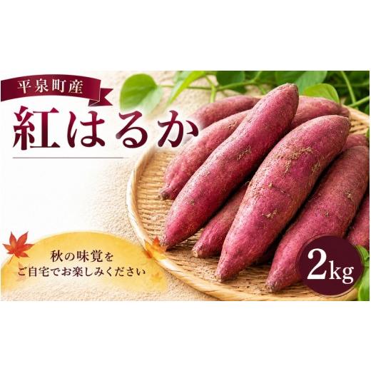 ふるさと納税 野菜類 サツマイモ 岩手県 平泉町 10月下旬より発送 平泉町産 紅はるか さつまいも 2kg / サツマイモ 芋 野菜 やさい 甘い 濃厚 美味しい