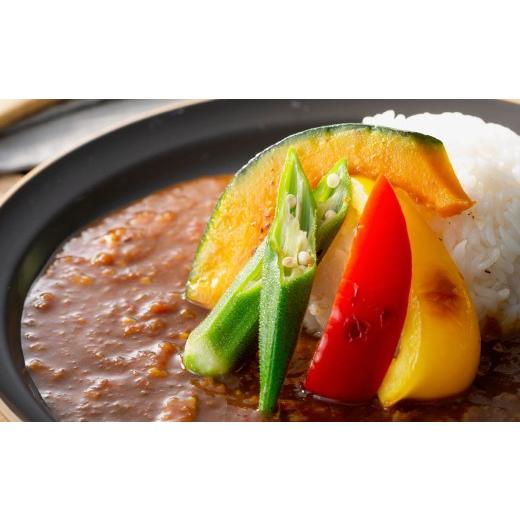ふるさと納税 豚肉 カレー・シチュー 熊本県 熊本市 R8年熊本地震復興支援 冷凍 元祖熊本豚足カレー ( 中辛口 / 200g × 5個 ) カレー カレーライス 冷凍…
