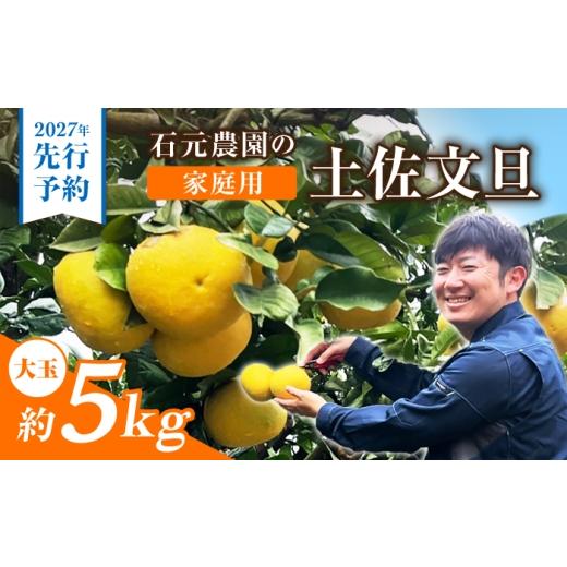 ふるさと納税 みかん・柑橘類 高知県 土佐市 先行予約 石元農園の土佐文旦 家庭用 大玉 約5キロ 2027年2月〜発送 / 5kg 3Lサイズ 4Lサイズ 文旦 ぶんたん 柑…