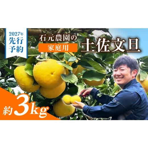 ふるさと納税 みかん・柑橘類 高知県 土佐市 先行予約 石元農園の土佐文旦 家庭用 約3キロ[2027年2月〜発送]/ 期間限定 土佐文旦 文旦 3kg ブンタン ぶん…