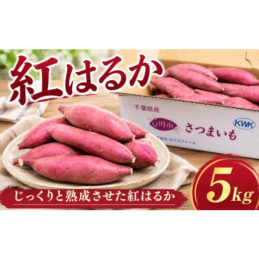 ふるさと納税 野菜類 千葉県 香取市 訳あり 紅はるか 約 5kg さつまいも 先行予約 訳アリ 訳有 サツマイモ 薩摩芋 さつま芋 べにはるか ベニハルカ スイーツ …