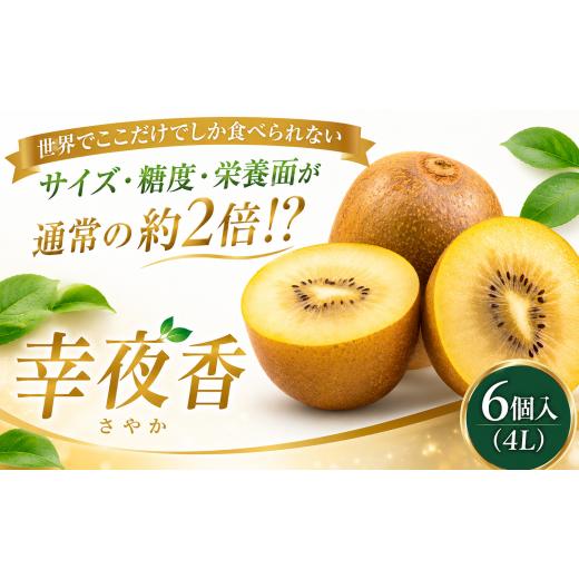 ふるさと納税 果物類 千葉県 香取市 ゴールドキウイ 「幸夜香」 先行予約 6個入り 4L 2026年11月以降発送 黄金キウイフルーツ 国産キウイフルーツ キウイフル…