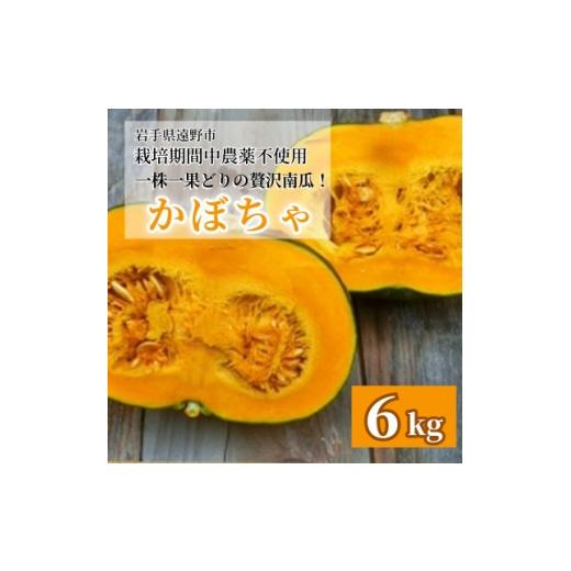 ふるさと納税 野菜類 岩手県 遠野市 甘い粉質系 かぼちゃ(6kg)栽培期間中農薬、動物性化成等不使用 遠野もぐもぐカントリー 1765594