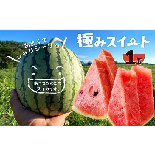 ふるさと納税 スイカ 京都府 京丹後市 先行予約 京丹後・俵野産 小玉スイカ 極みスイート 1玉(2027年7月中旬〜発送) 西瓜 すいか 極みスイート 果物 フルー…