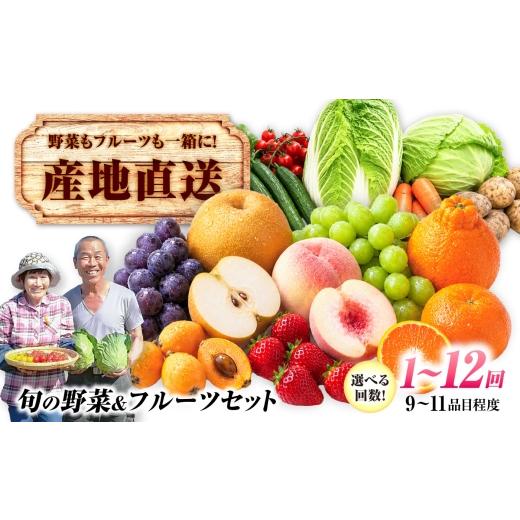 ふるさと納税 果物の詰合せ 長崎県 諫早市 産地直送 長崎県諫早産 旬の野菜&フルーツ詰め合わせ 9〜11品目程度 季節のおまかせセット / 野菜 フルーツ 果物…