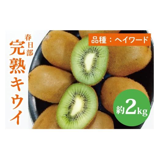 ふるさと納税 果物類 埼玉県 春日部市 先行予約 12月上旬より発送開始 春日部完熟キウイ2kg 埼玉県 春日部市 キウイ キウイフルーツ 2kg 完熟 国産 フルーツ …