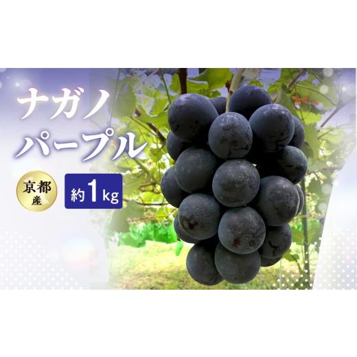 ふるさと納税 果物類 ぶどう 京都府 木津川市 2026年 ナガノパープル 約1kg 京都木津川市産 葡萄 フルーツ 旬 産地直送 新鮮 恭仁農園 106-03