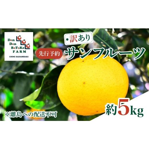 ふるさと納税 果物類 みかん 愛媛県 伊方町 先行予約 訳あり 新甘夏 サンフルーツ 約5kg 離島への配送不可 2027年3月中旬より順次発送予定 ふるさと納税 人…