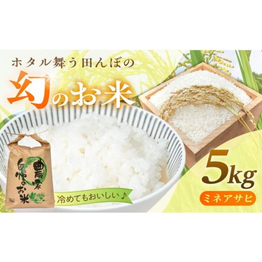 ふるさと納税 米 岐阜県 恵那市 ホタル舞う田んぼのお米 5kg / 米 お米 新米 精米 白米 ご飯 ブランド米 銘柄米 ミネアサヒ 産地直送 お取り寄せ 岐阜県産 恵…